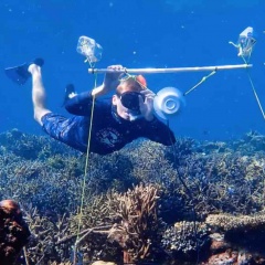 Phục hồi rạn san hô chết bằng... loa phóng thanh